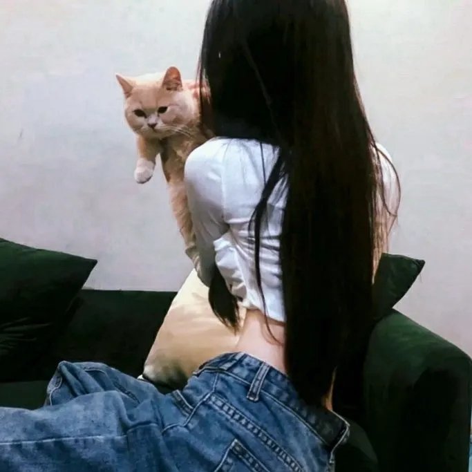 维拉塔之书